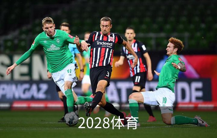 走进2028体育